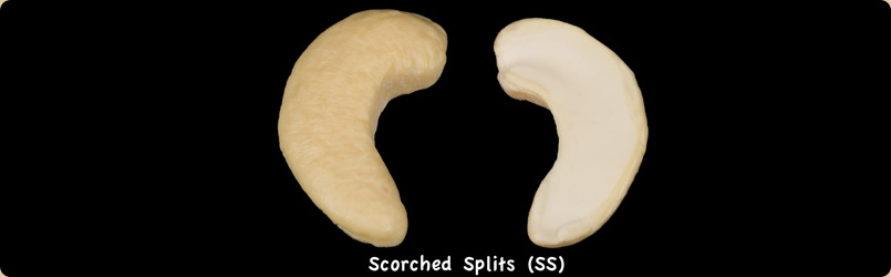 Scorched Splits (SS)